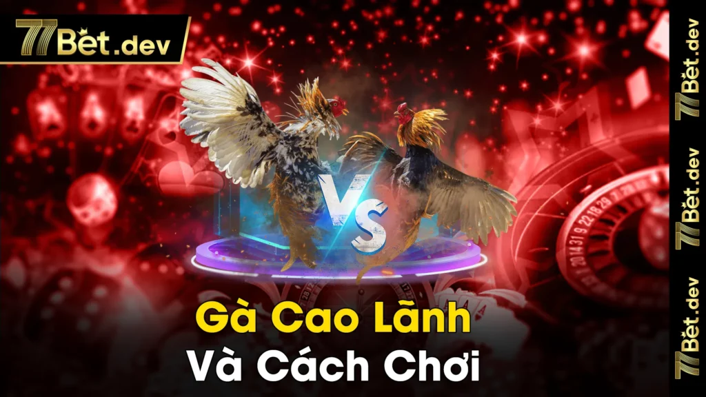 gà cao lãnh 02