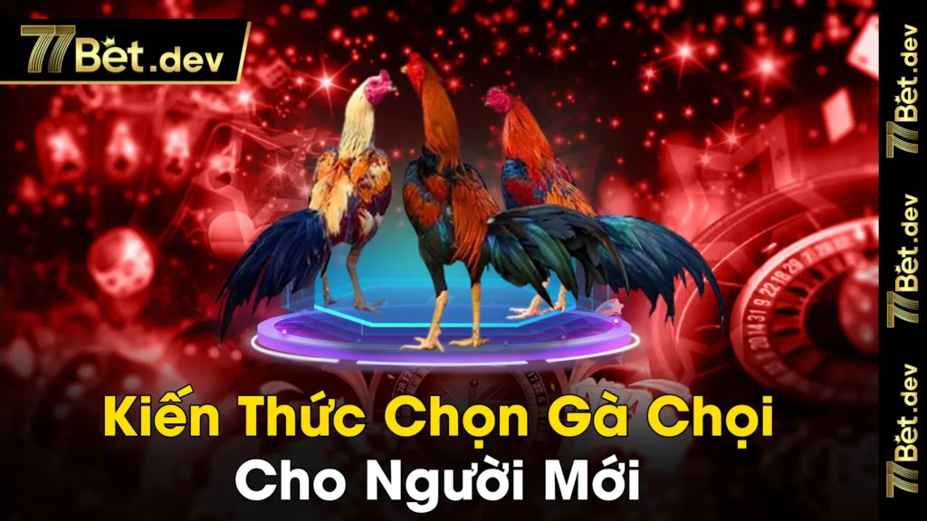 Kien Thuc Chon Ga Choi Cho Nguoi Moi